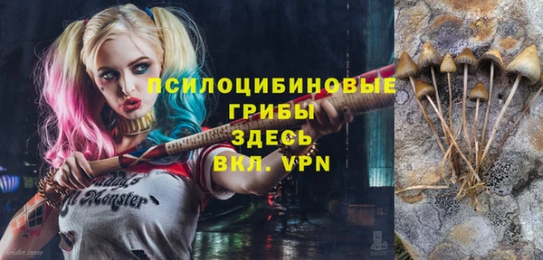 твердый Магас