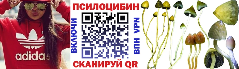 цена   Цоци-Юрт  Псилоцибиновые грибы GOLDEN TEACHER 